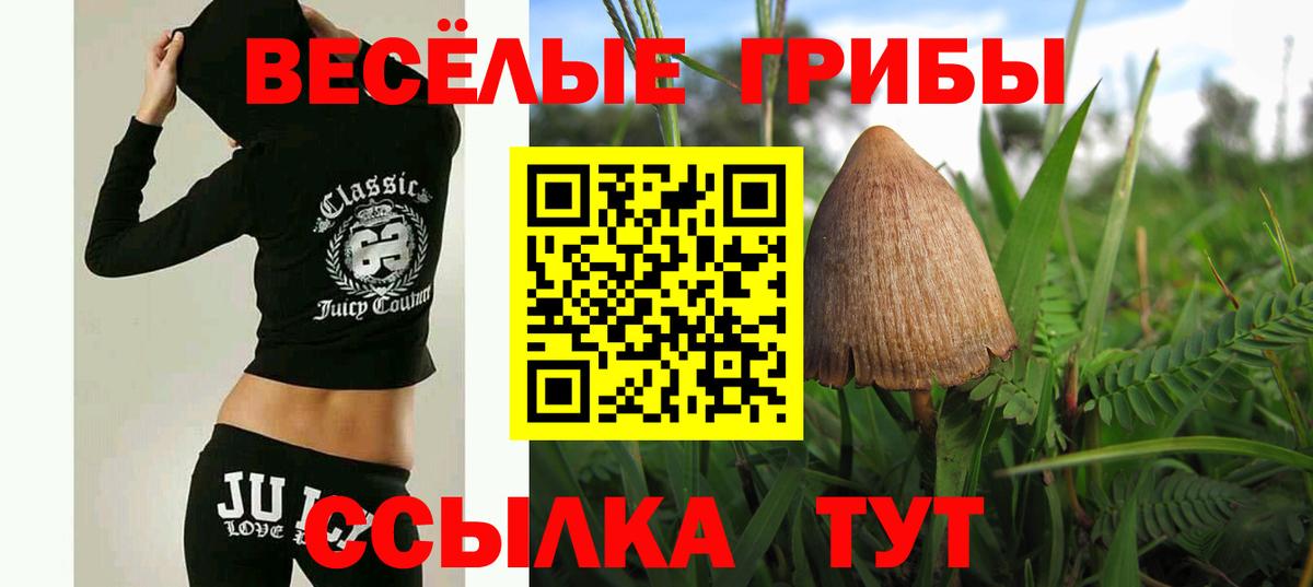 Галлюциногенные грибы Psilocybine cubensis  Вход с VPN  купить наркотик  Новошахтинск 